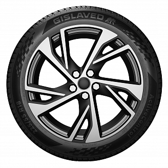 Шина Gislaved ActiveControl 225/45 R19 96W  FR