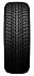 Шина Nexen Winguard Ice Plus 245/45 R18 100T XL