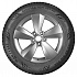 Шина Ikon Character Ice 7 SUV 255/60 R17 110T XL