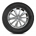 Шина Royal Black Royal Performance 255/55 R19 111V XL